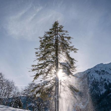 Silber Lodge Im Wiesenstein Auffach Kültér fotó