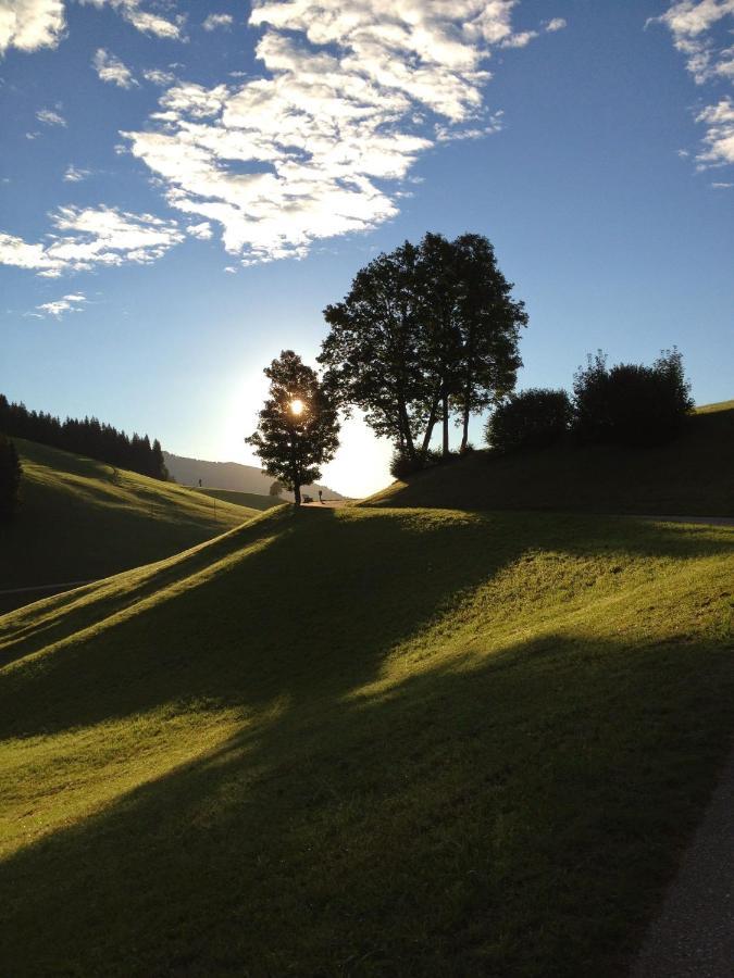 Silber Lodge Im Wiesenstein Auffach Kültér fotó