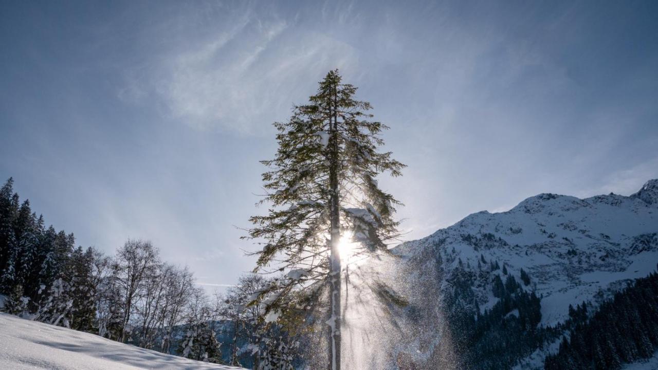 Silber Lodge Im Wiesenstein Auffach Kültér fotó