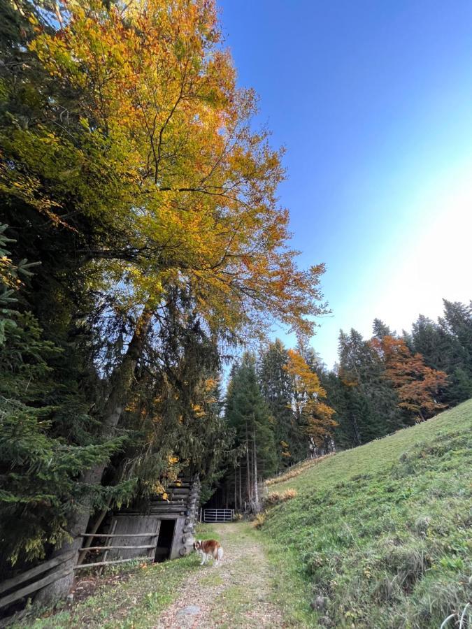 Silber Lodge Im Wiesenstein Auffach Kültér fotó